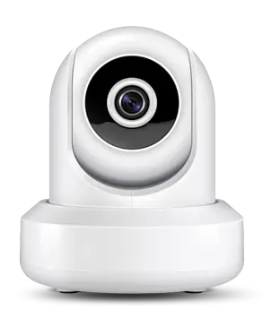 Smart surveillance camera